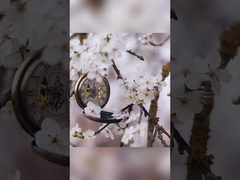 릴리 로즈 오스만스 치아 흰 치약 400g 백지 포장