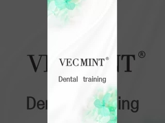 백제 젤 세트 사용